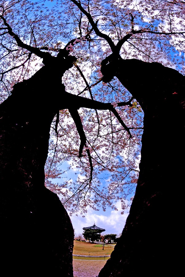 Grand prize - Kim Hongjung – Wolpajeong Guard